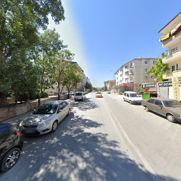 Fotoğraf 7