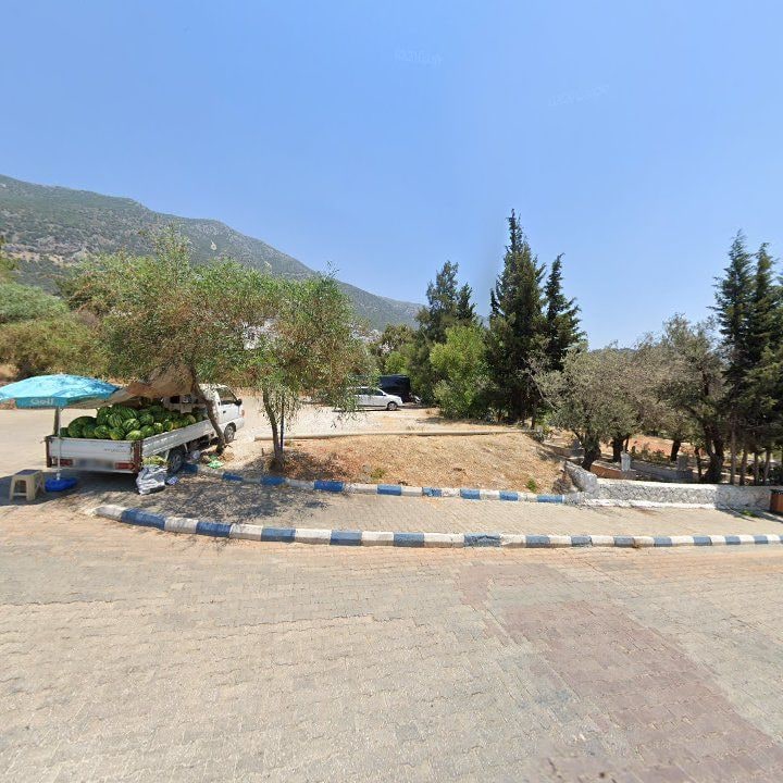Fotoğraf 8