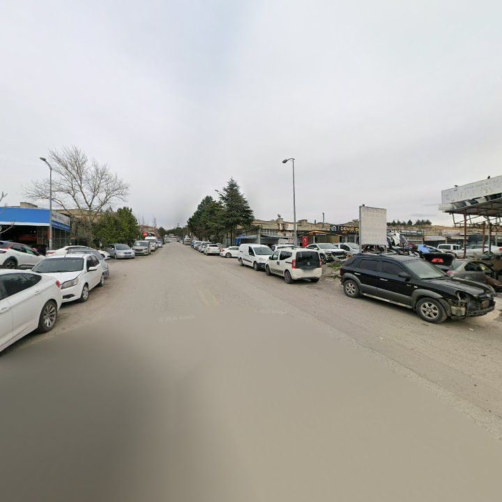 Fotoğraf 10