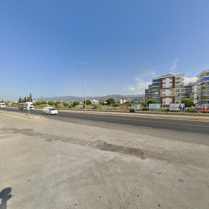 Fotoğraf 12