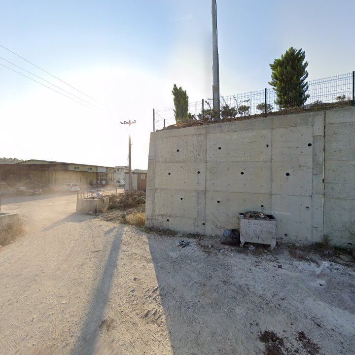 Fotoğraf 12