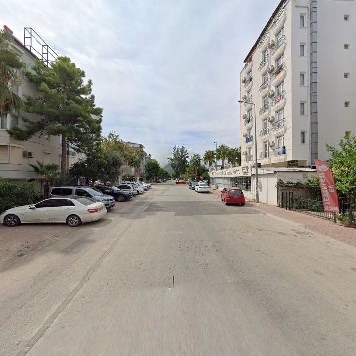 Fotoğraf 12