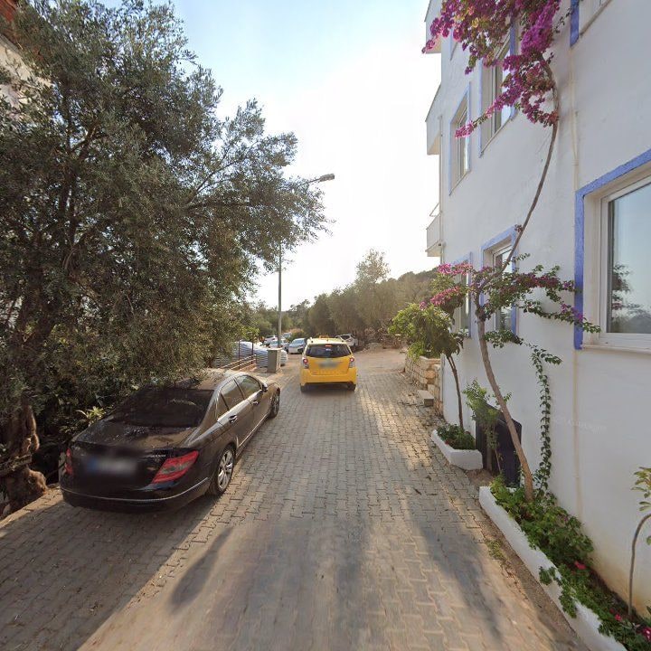 Fotoğraf 11