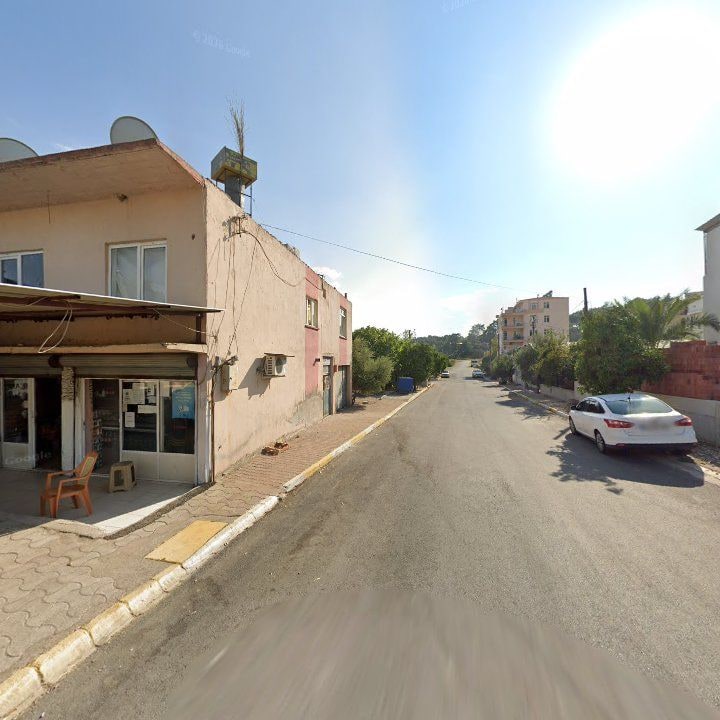Fotoğraf 6