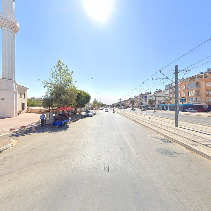 Fotoğraf 7