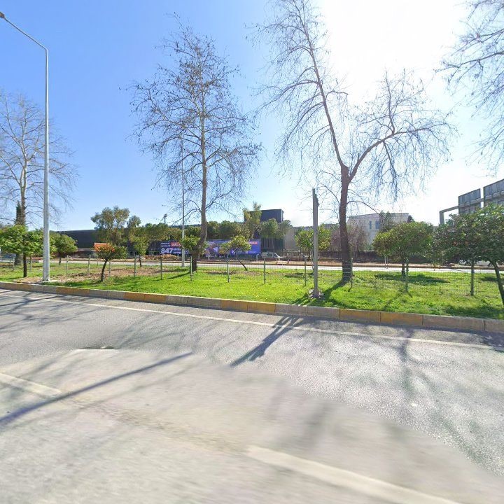 Fotoğraf 10