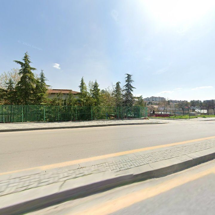 Fotoğraf 12