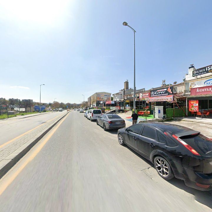 Fotoğraf 13