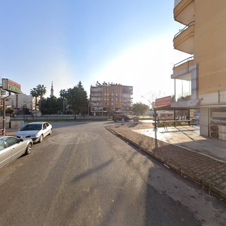 Fotoğraf 8