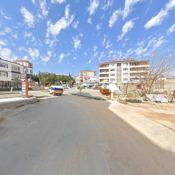 Fotoğraf 7