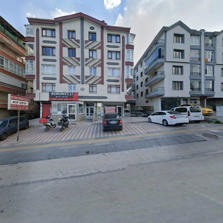 Fotoğraf 3