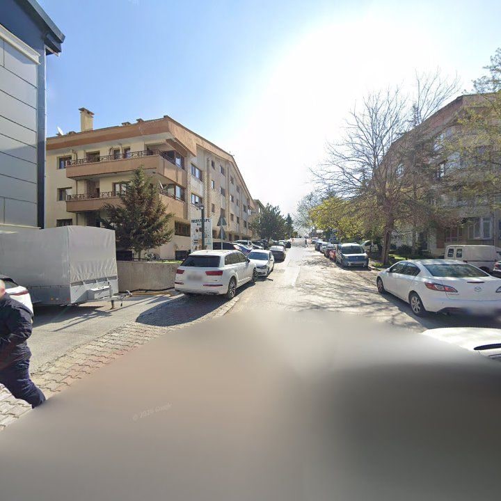 Fotoğraf 12