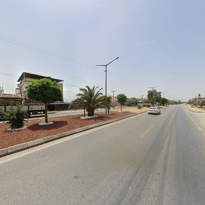 Fotoğraf 8