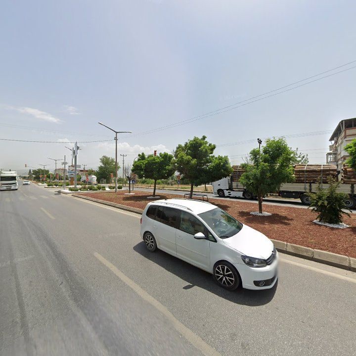 Fotoğraf 7
