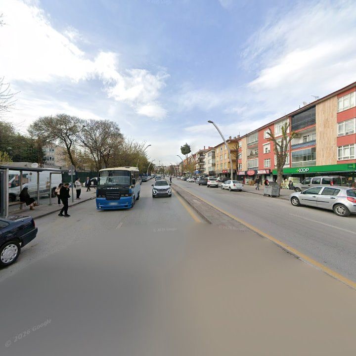 Fotoğraf 7