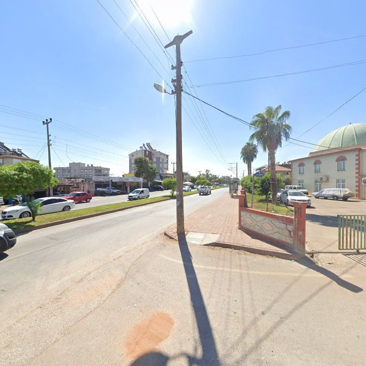 Fotoğraf 7