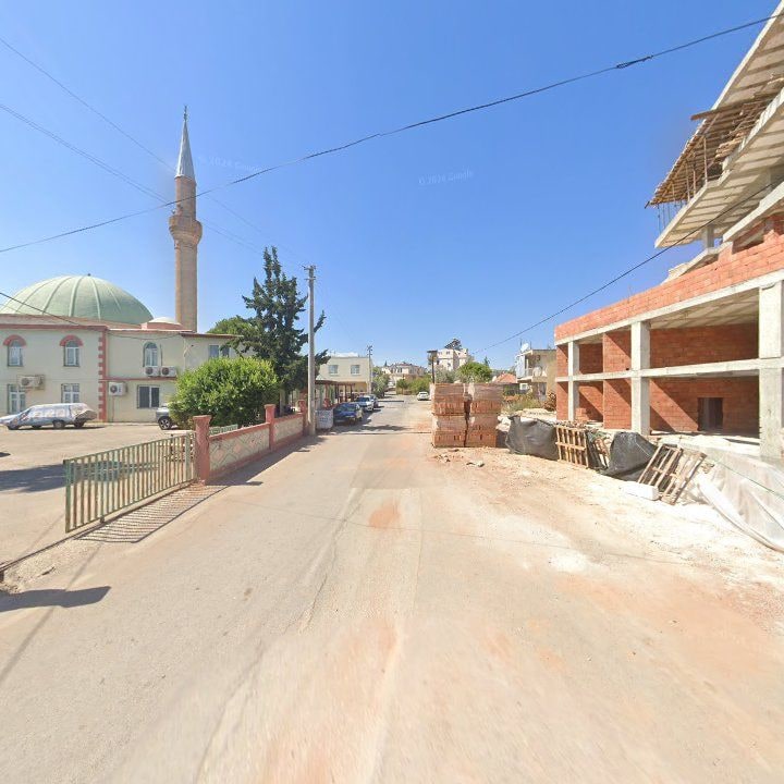 Fotoğraf 8