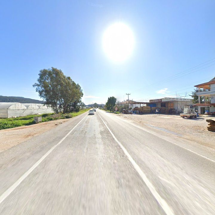 Fotoğraf 8