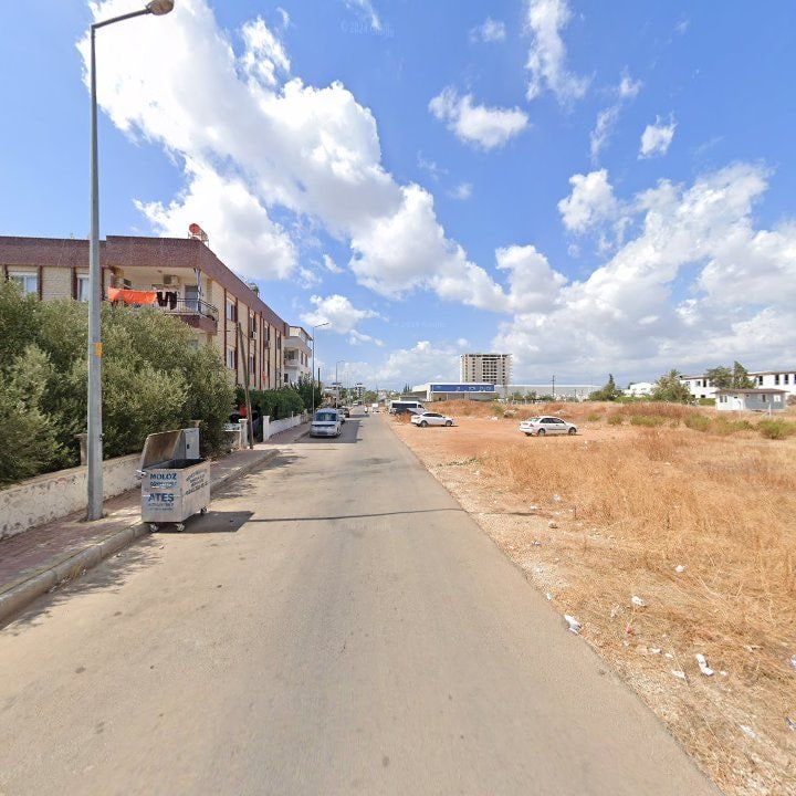 Fotoğraf 7