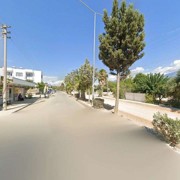 Fotoğraf 6