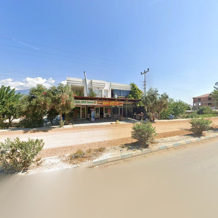 Fotoğraf 3