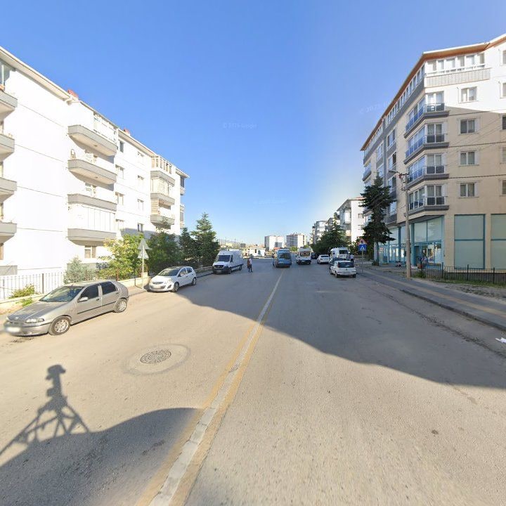 Fotoğraf 9