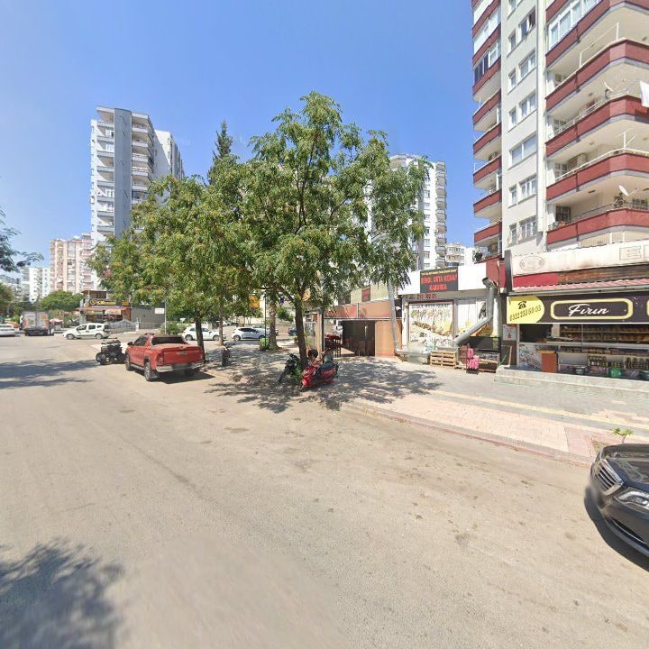 Fotoğraf 7