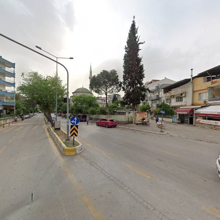 Fotoğraf 7