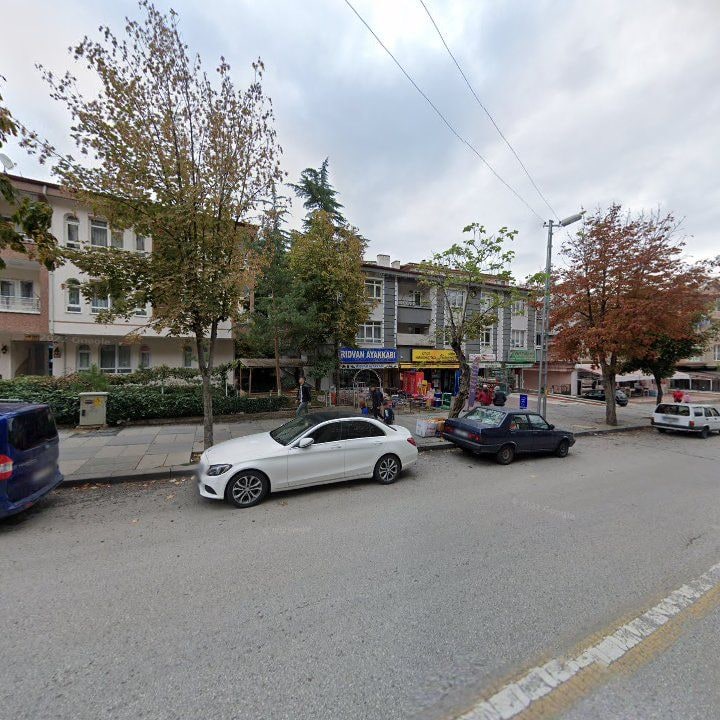 Fotoğraf 7