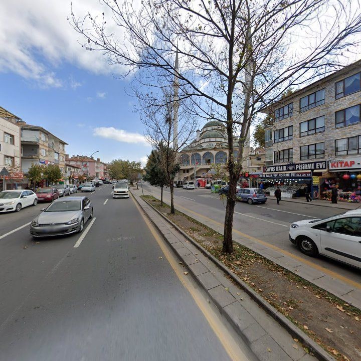 Fotoğraf 6