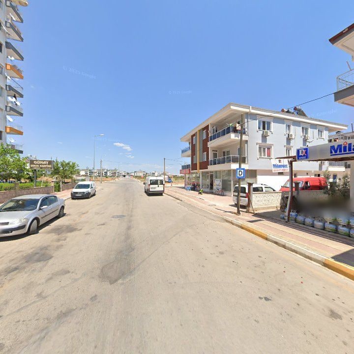 Fotoğraf 9