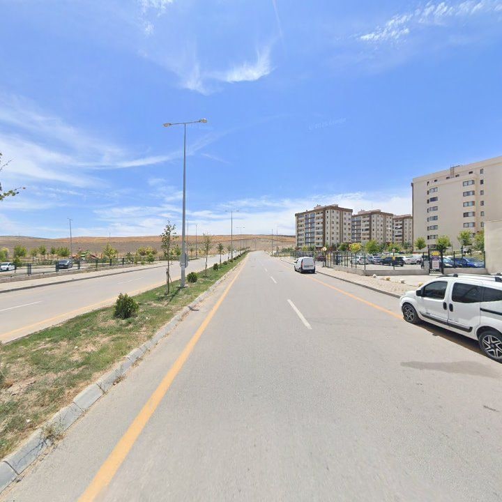 Fotoğraf 8