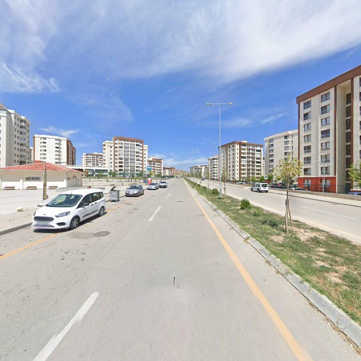 Fotoğraf 6