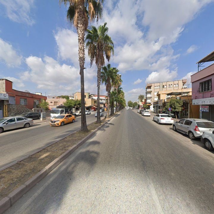 Fotoğraf 9
