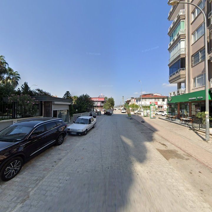 Fotoğraf 7