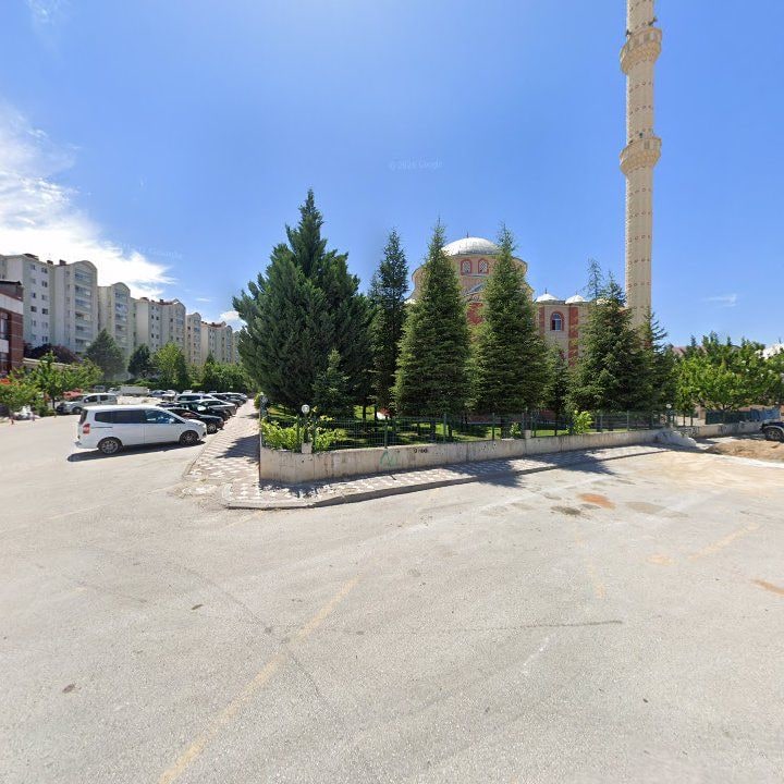 Fotoğraf 7