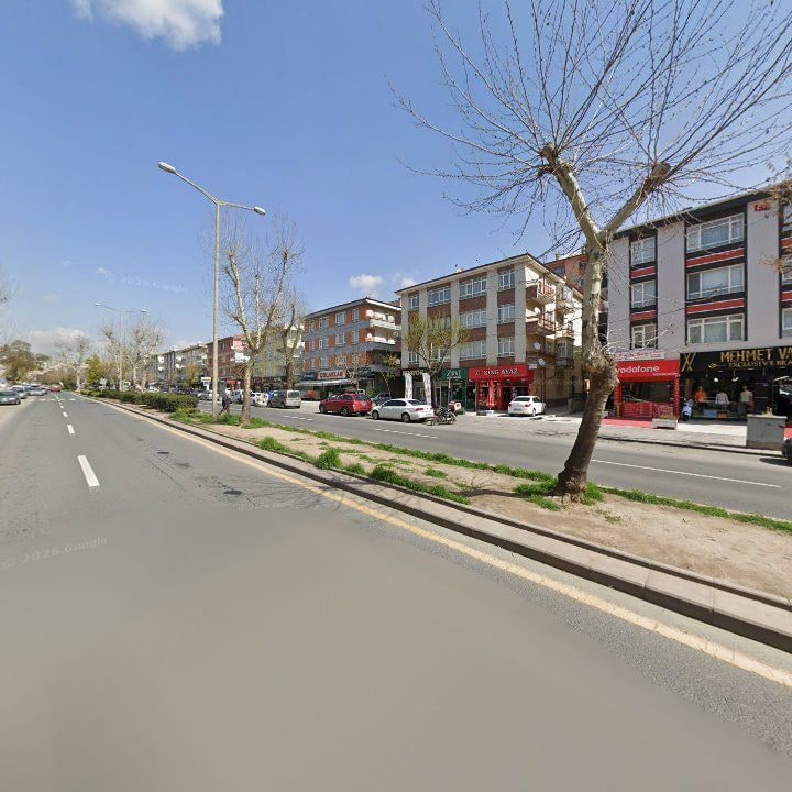 Fotoğraf 10