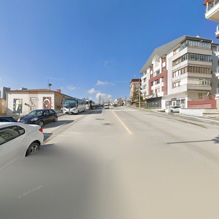 Fotoğraf 8