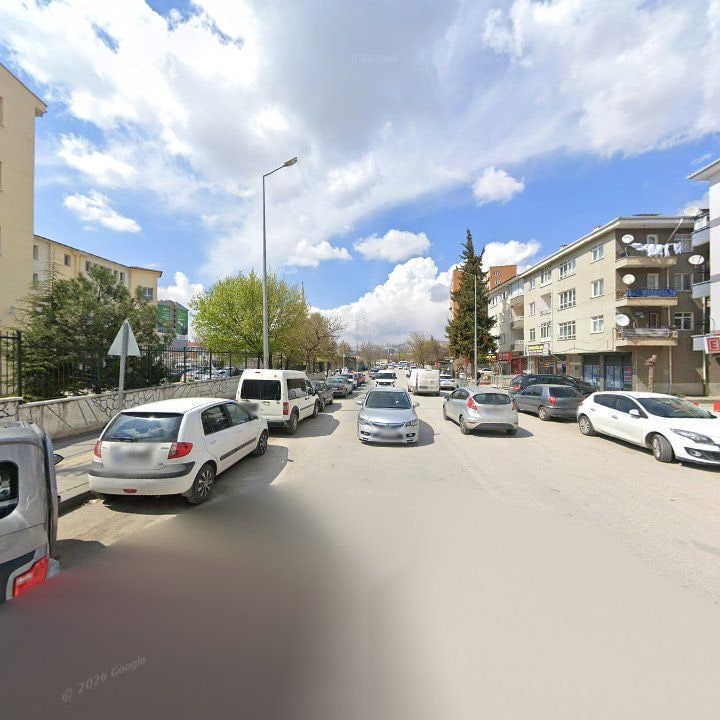 Fotoğraf 7