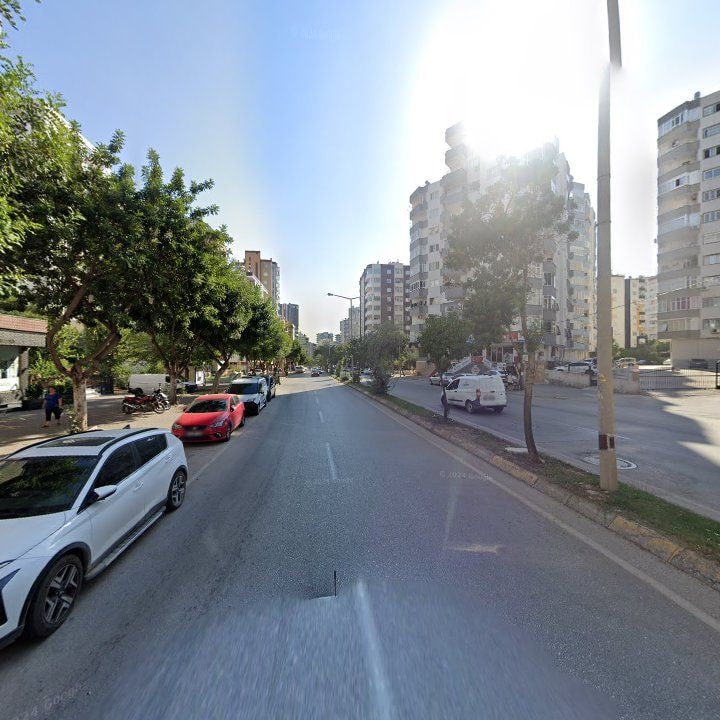 Fotoğraf 8