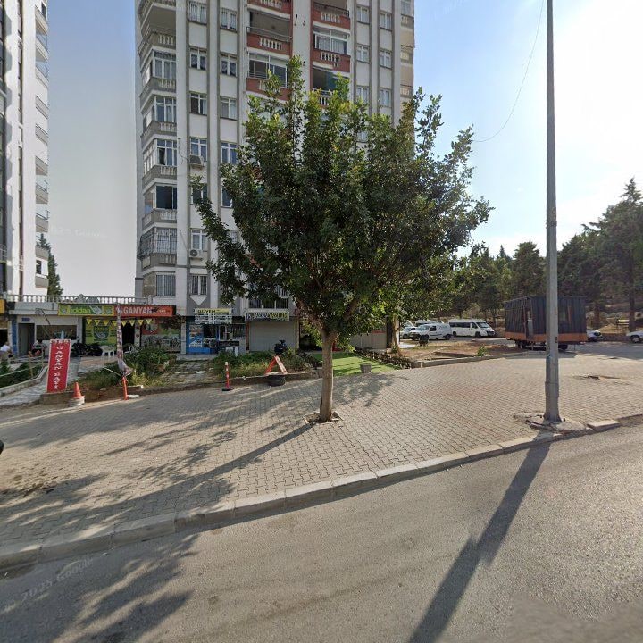 Fotoğraf 3