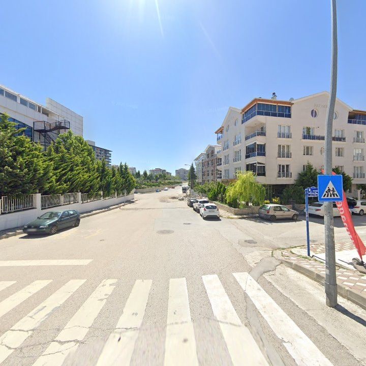 Fotoğraf 10