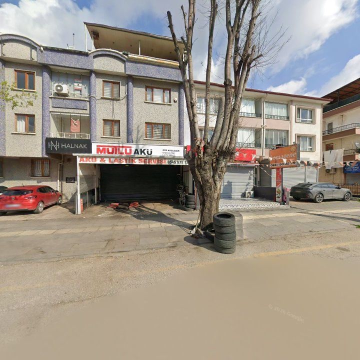Fotoğraf 5