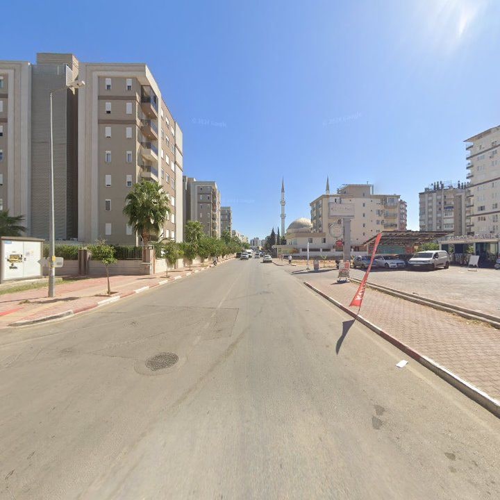 Fotoğraf 8