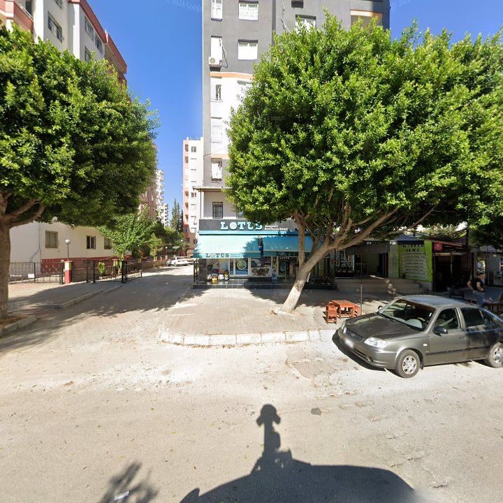 Fotoğraf 3