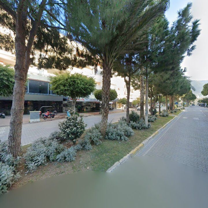 Fotoğraf 7