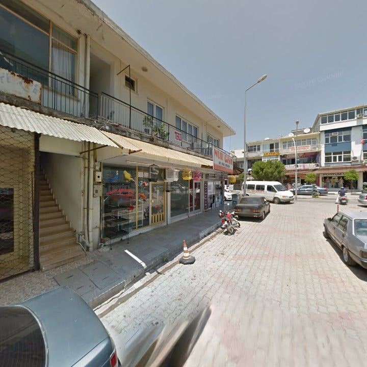 Fotoğraf 6