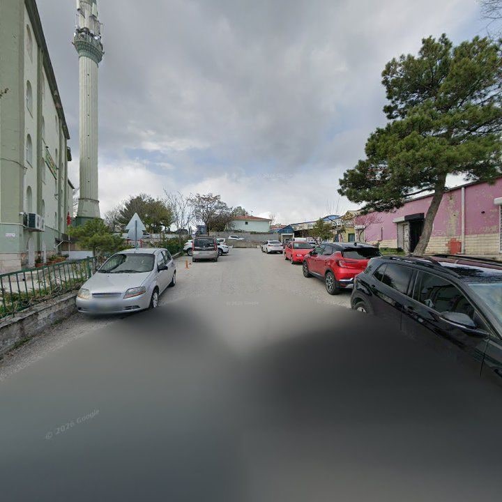 Fotoğraf 6