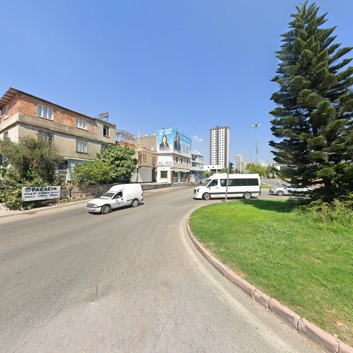 Fotoğraf 5