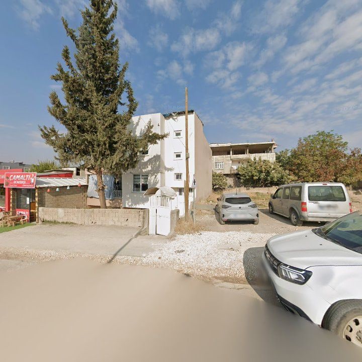 Fotoğraf 5